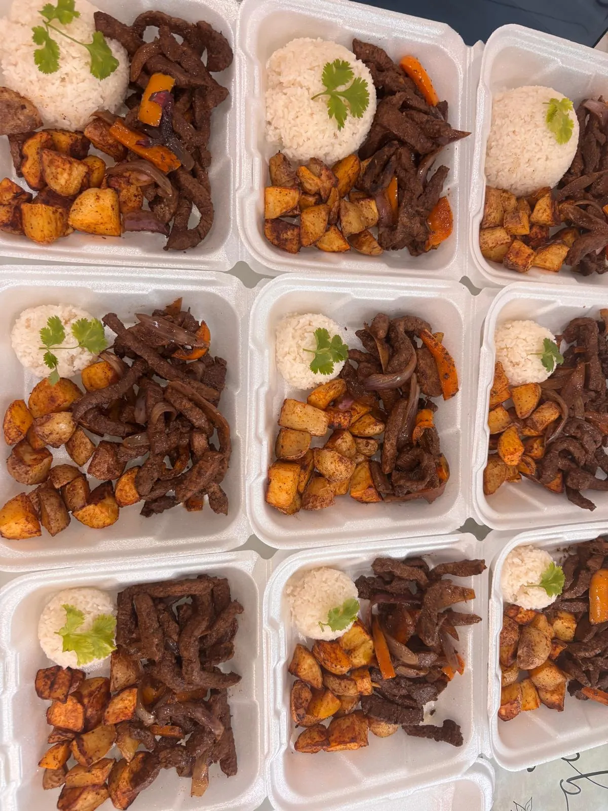 Bandejas de res con papas y arroz